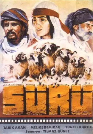 suru-yilmaz-guney-listelist