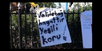 Can Çekişen Son Yeşil Alanımız Validebağ Korusu