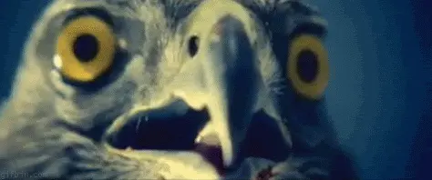 1255605321_shocked