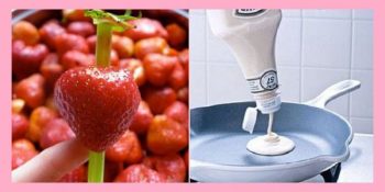 İnternette Dolaşan 9 Aşırı Saçma Pratik Bilgi