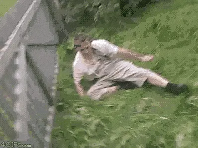 cit-gif