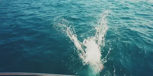 deniz