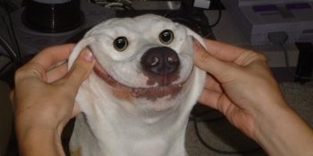 Mutluluğu Yakalamış 9 Kişi ile ‘Mutlu Et Mutlu Ol Günü’