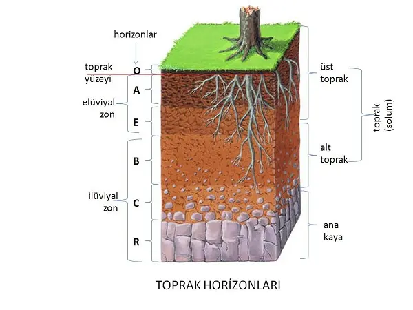 toprak-derinlikleri