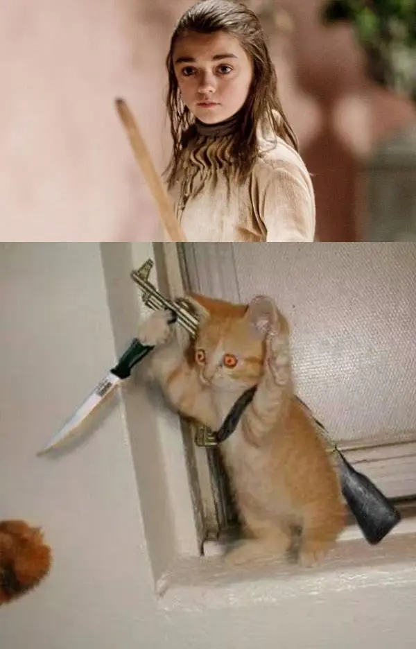 02 Arya Stark