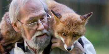 Yaşlı Adam ve Yaralı Tilki Kardeşin Dokunaklı Öyküsü