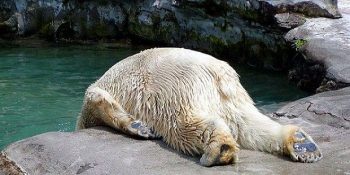 Sadece Akşamdan Kalma Bünyelerin Anlayabileceği 17 Süründüren Durum