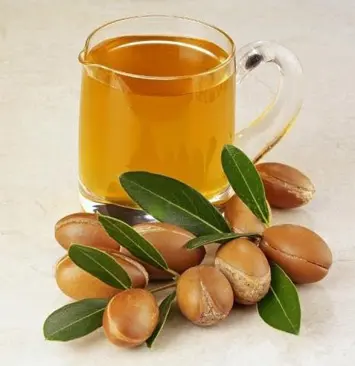 argan-yagi-anavatani