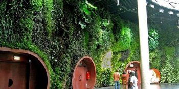 Tembellikten Doğan Bir Ekosanat Anlayışı: 14 Maddede Dikey Bahçeler