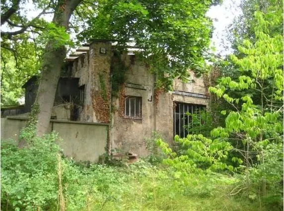 insan bahce