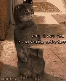 it-was-you-gif