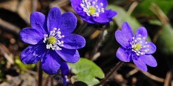 Kaynağına İnildiğinde Mükemmel Olduğu Fark Edilen 8 Şey