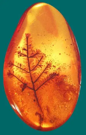 kehribarin-ana-vatani