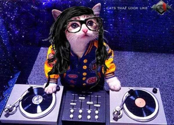 skrillex-kedi-1