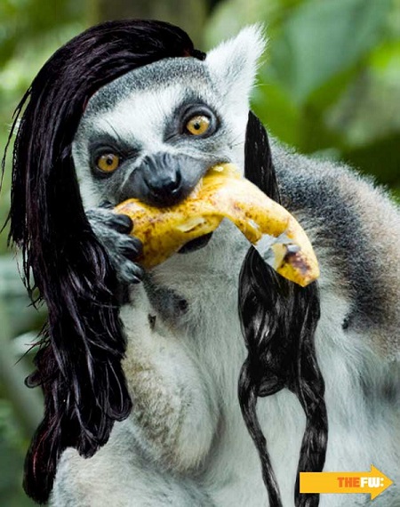 skrillex-lemur