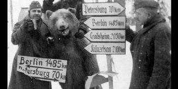 II. Dünya Savaşı Kahramanı Onbaşı Ayı Wojtek’in İran’dan İskoçya’ya Uzanan Macerası