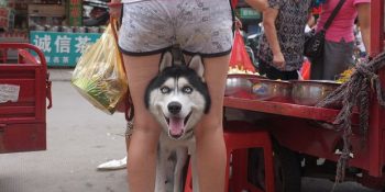 Doğru Zamanda Deklanşöre Basılarak Yakalanmış 17 Dile Gelmiş Fotoğraf