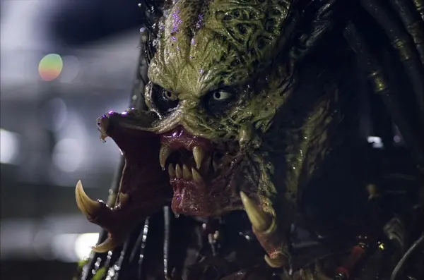 predator