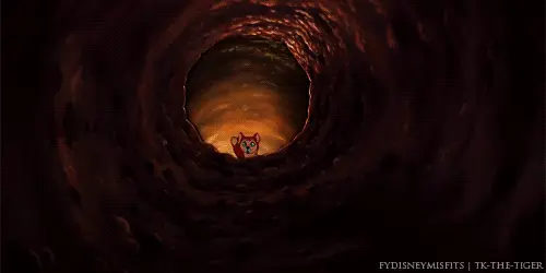 down-the-rabbit-hole