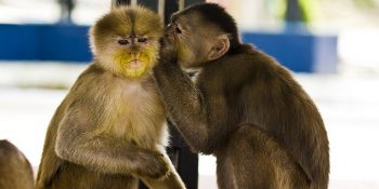 Sadece Gıybetçi İnsanların Yaşadığı 13 Hüzünlü Durum