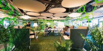 Hemen Şu An İstifayı Basıp CV Göndermelik 7 Tasarım Harikası Google Ofisi