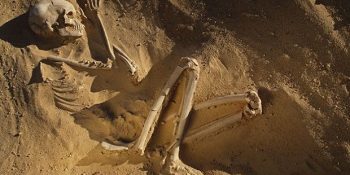 Asla Cevabını Bilmek İstemediğiniz Soru: ”Öldükten Sonra Bedenimize Ne Oluyor?”