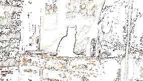 kedi-biblo-kirar