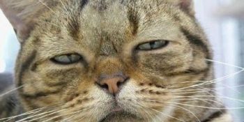 Bugün Günlerden Pazartesi Olduğunun 9 Ağır Sendromlu Kanıtı