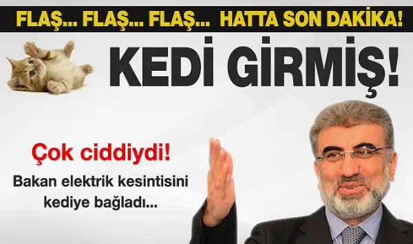 kediler-bakan