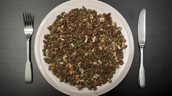 hayvan-mamasi-gurmesi