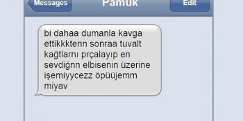 Sarhoş Kedilerin Sahiplerine Yolladığı 9 Pişmanlık Mesajı