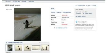 Yurdum İnsanının Ticari Yaratıcılıkta Geldiği Son Nokta: Sahibinden Satılık Aktör Sinek Tonguç