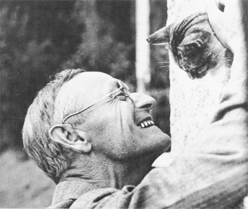 23- Hermann Hesse with Narciss