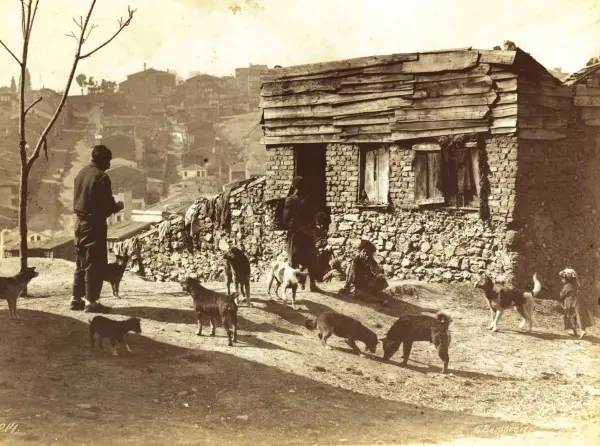 tatavla
