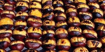 Kışı Bir Türlü Sevemeyenlere Özel Kışı Sevmek İçin 11 Neden