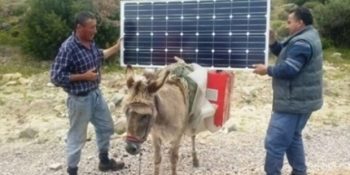 Sizi Teknolojiden Soğutup Ülkeyi Karanlık Çağlara Götürebilecek 17 Fotoğraf