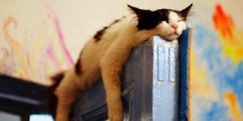 Üzerinizdeki Ölü Toprağından Kurtulmanıza Yardımcı Olacak Klasik Ama Etkili 15 Madde