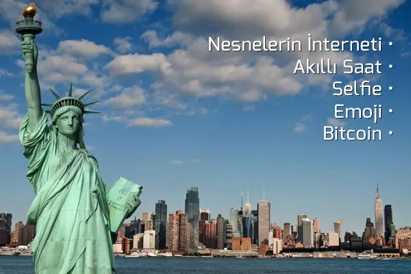 shutterInfo_amerika