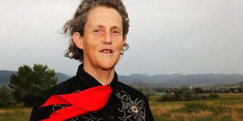 15 Maddede ‘Sarılma Kutusu’nun Mucidi ve Hayvan Dostu Otizmli Profesör Temple Grandin