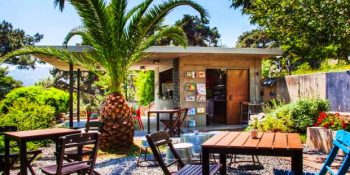 Baharın Tadını Çıkarabileceğiniz Yeşilli Bahçeli İç Açıcı 8 Mekan