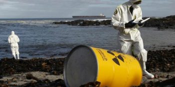 Hayvanların Akkuyu Nükleer Santrali’ne Acayip Tepkileri