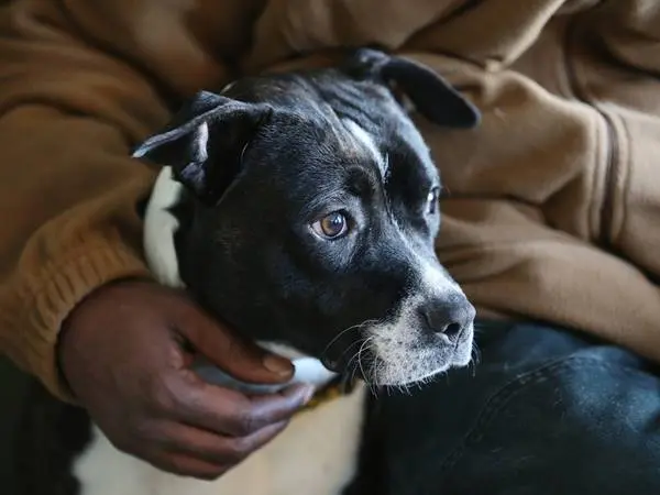 homelessadamhomeless3