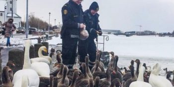 Hayaller İzlanda Gerçekler Türkiye Dedirten 12 Fotoğrafla Reykjavik’te Polis Olmak