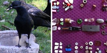 Kargaların Çok Sevdiği ve Hediyeler Getirdiği Küçük Kızın 6 Maddelik Gerçek Hikayesi