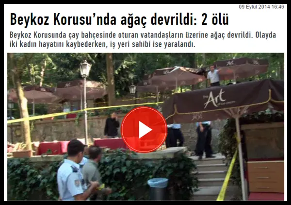 kazadumb