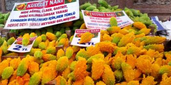 Her Derde Deva Kudret Narı ve Kudret Narı Faydaları