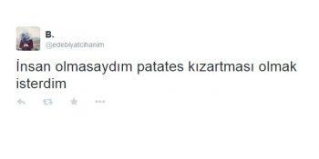 Patates Kızartmasının Tarifsiz Bir Aşk Olduğunun 14 Kanıtı