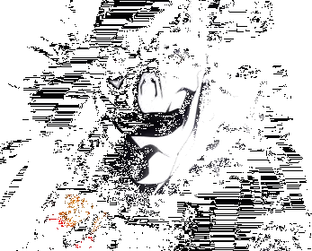 ryuk