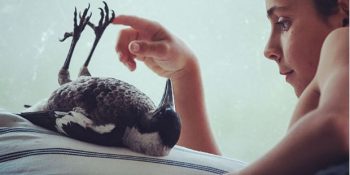 14 Enfes Fotoğrafla Saksağan Penguin’in Hayatını Kurtaran Aileyle Kurduğu Sıradışı Dostluğun Hikayesi