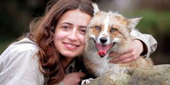 Hayatı Kurtarıldıktan Sonra Kendini Köpek Sanmaya Başlayan Tilki Kardeş Todd’un Hikayesi